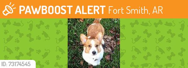 Found/Stray Male Dog last seen Greenwood Ave., Fort Smith, AR 72904