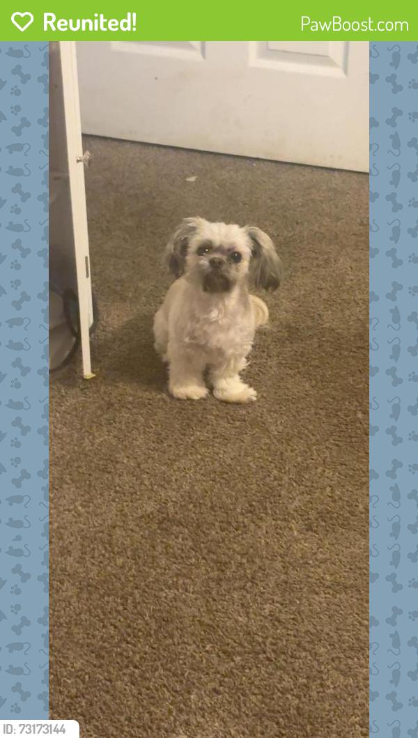 Reunited Female Dog last seen Lamar hutcheson pkwy riverdale ga near the bus stop across the street from the apmts, Riverdale, GA 30274