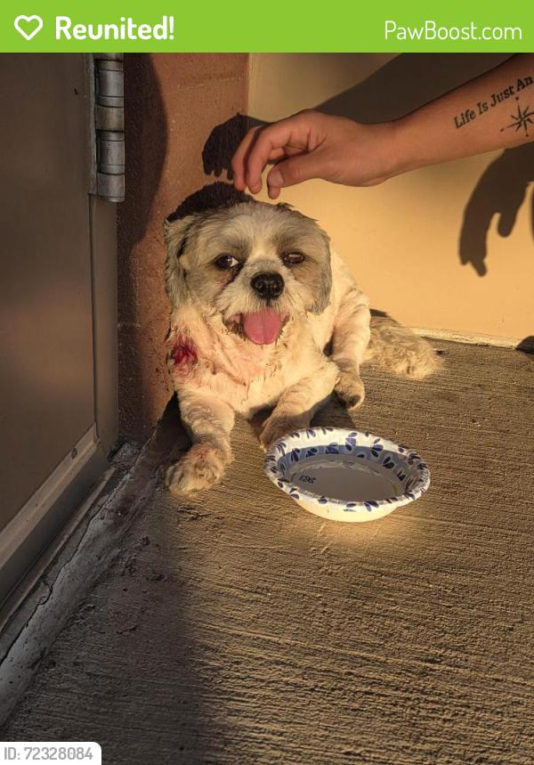 Reunited Male Dog last seen 46th ave and Sweetwater Ave, Phoenix, AZ 85051