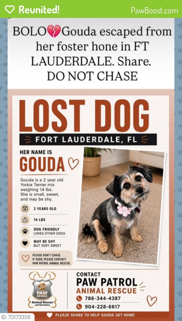 Reunited Female Dog last seen last seen at 3574 Riverland Road, Ft. Lauderdale 33312, Fort Lauderdale, FL 33312