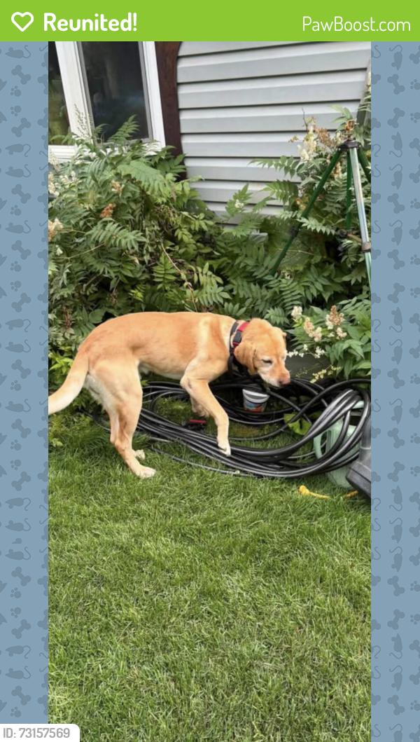 Reunited Male Dog last seen Bagger rd, Badger, AK 99705
