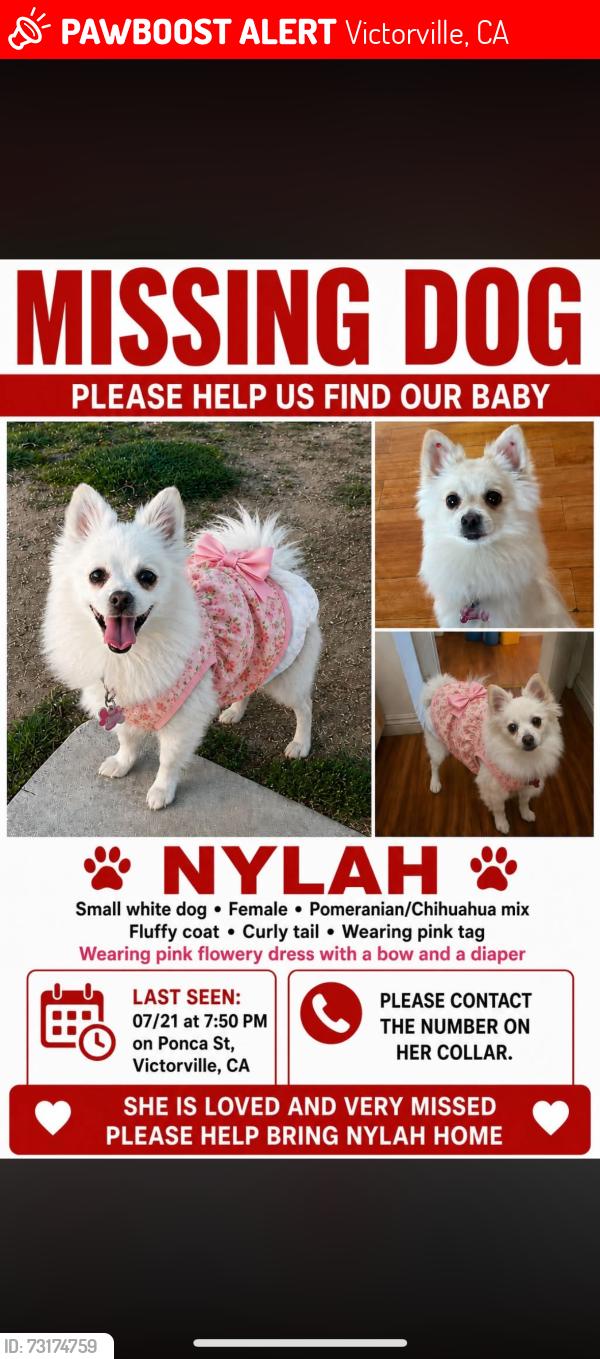Lost Female Dog last seen Ponca st in Victorville ca, Victorville, CA 92395