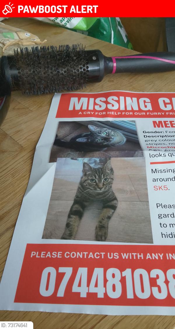 Lost Female Cat last seen Redish, Greater London, England IG5 0EE