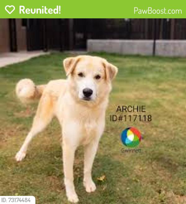 Reunited Male Dog last seen Neighborhood in eagles crossing, Gwinnett County, GA 30044