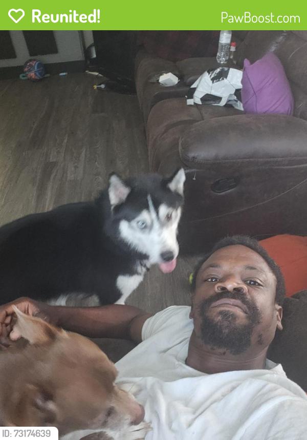 Reunited Male Dog last seen Cobble Creek Ln, North Carolina, USA, Raleigh, NC 27616