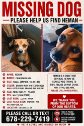 Reunited Male Dog last seen Cassville Rd / Hamilton Crossing dog park area, Cartersville, GA 30120
