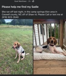 Lost Female Dog last seen Camp Springs / Shaw Rd, Caswell County, NC 27320