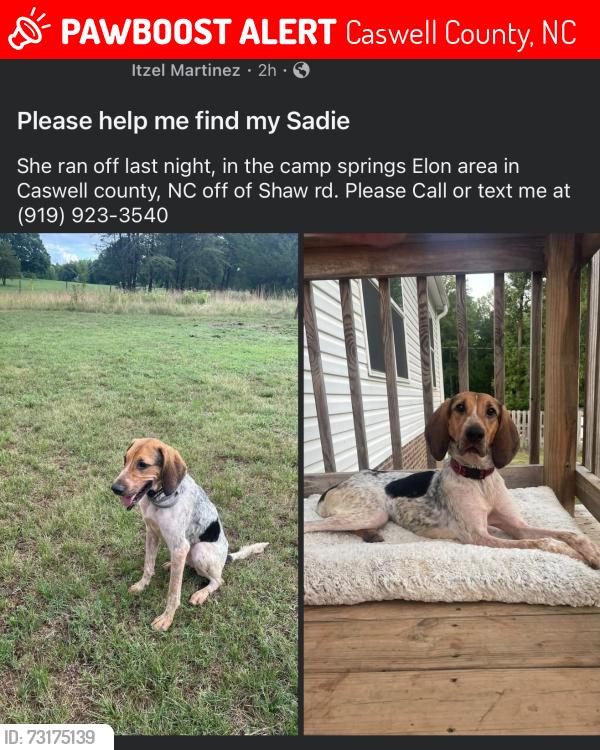 Lost Female Dog last seen Camp Springs / Shaw Rd, Caswell County, NC 27320