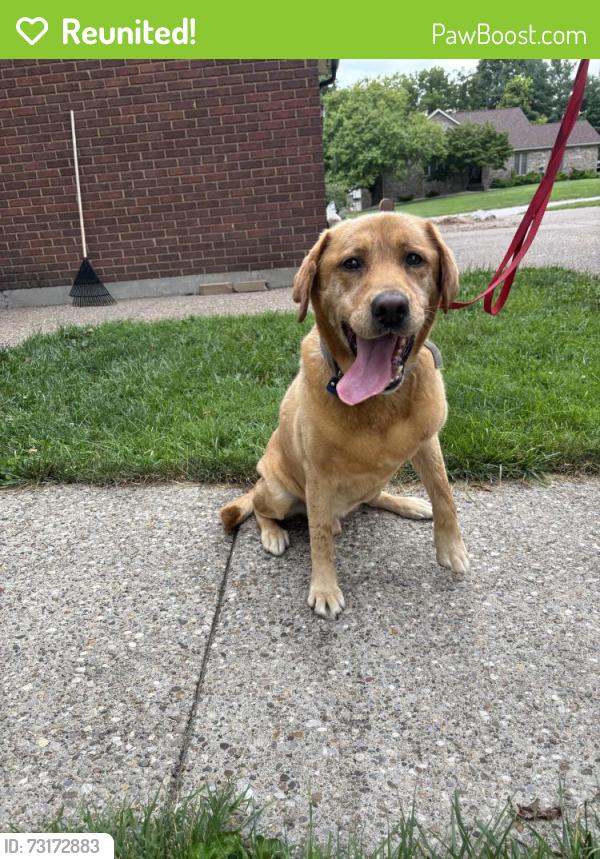 Reunited Male Dog last seen Near Dpringcrest Dr, Georgetown Indiana, Georgetown, IN 47122