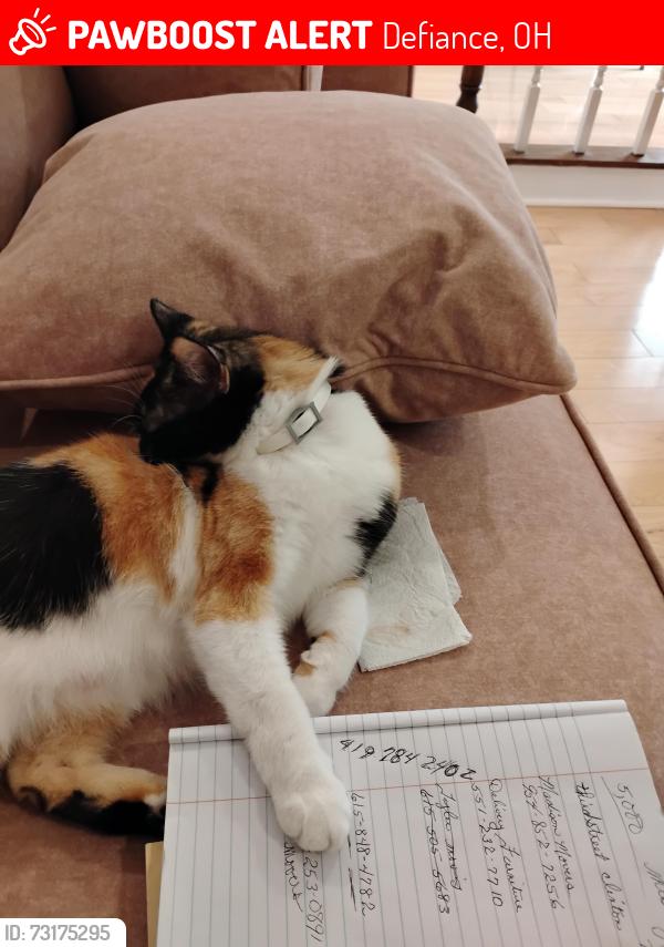 Lost Female Cat last seen Clinton and second, Defiance, OH 43512