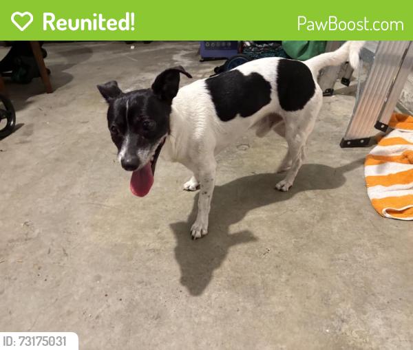 Reunited Male Dog last seen Near NE 35th Ave, hmstd, FL 33033, USA, Homestead, FL 33033