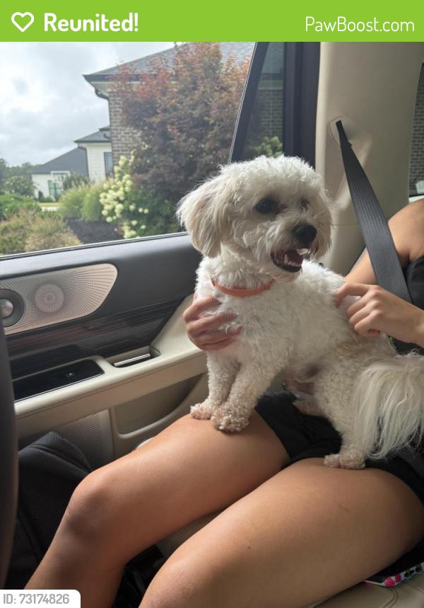 Reunited Male Dog last seen Pennington and Ridge, Greer, SC 29651