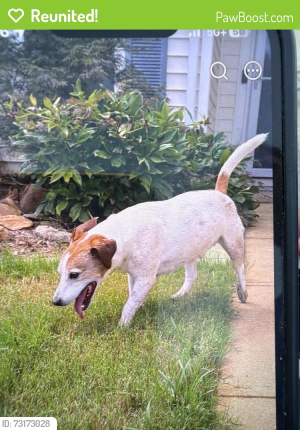 Reunited Male Dog last seen Sunfield ct &Riello, Greer, SC 29650