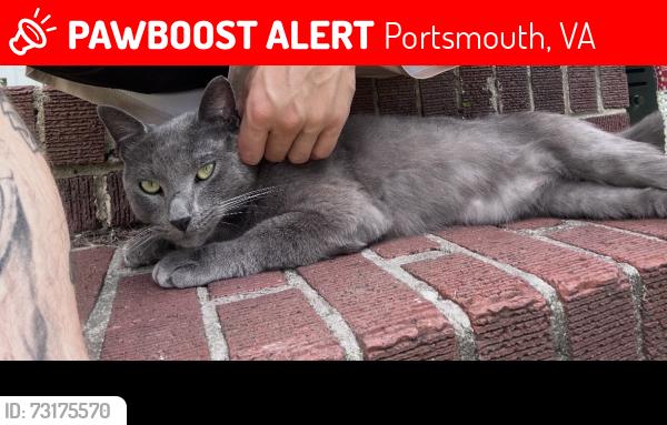 Lost Male Cat last seen turnpike rd, Portsmouth, VA 23707