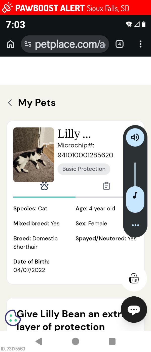 Lost Female Cat last seen 7th n Trapp, Sioux Falls, SD 57104