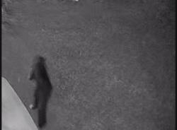 Lost Unknown Cat last seen Winridge - Neighborhood, Albuquerque, NM 87111