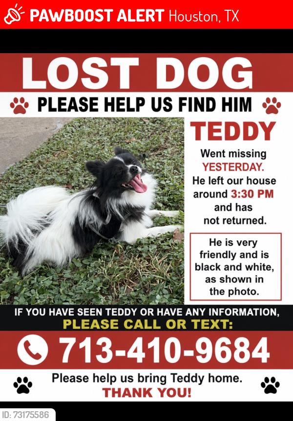 Lost Male Dog last seen Near hevenridge dr, Houston, TX 77083