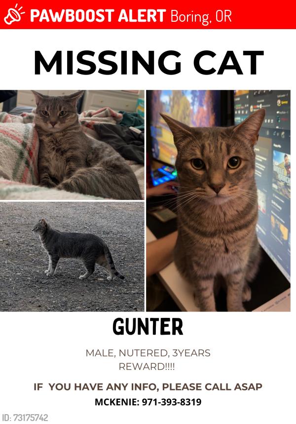 Lost Male Cat last seen Orient, Boring, OR 97009