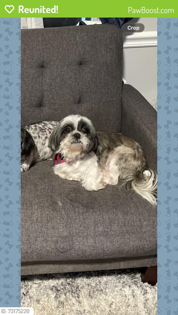 Reunited Male Dog last seen Near NC-86 Hillsborough, Hillsborough, NC 27278