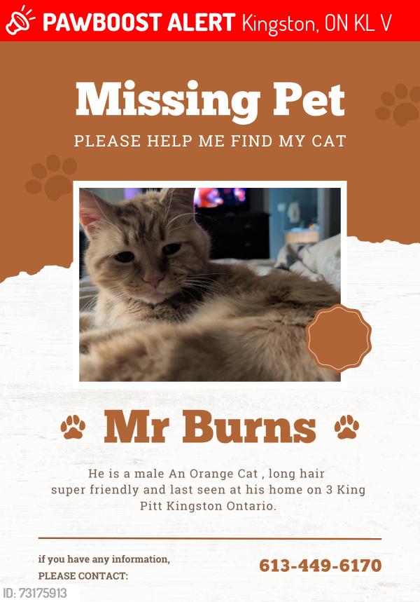 Lost Male Cat last seen King Pitt road and highway 2, Kingston, ON K7L 4V1