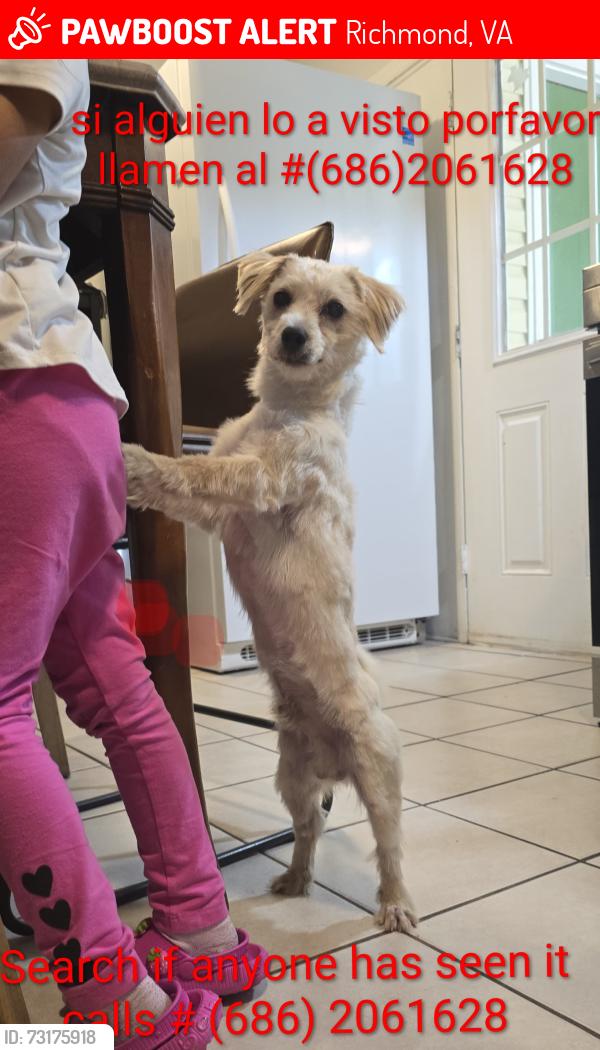 Lost Male Dog last seen Near woodys Ln, Richmond, VA 23234