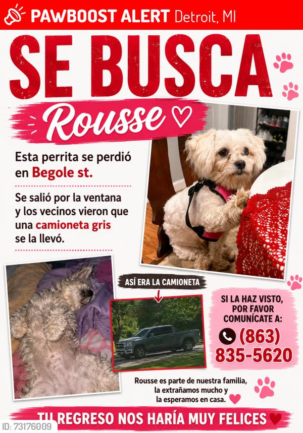 Lost Female Dog last seen En Begole st por la que son 2 calles como una Y, Detroit, MI 48210