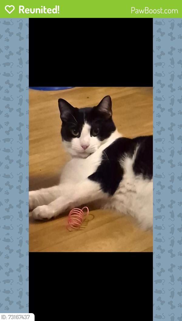 Reunited Male Cat last seen Little Ascutney Rd, Route 131, Weathersfield, VT 05151