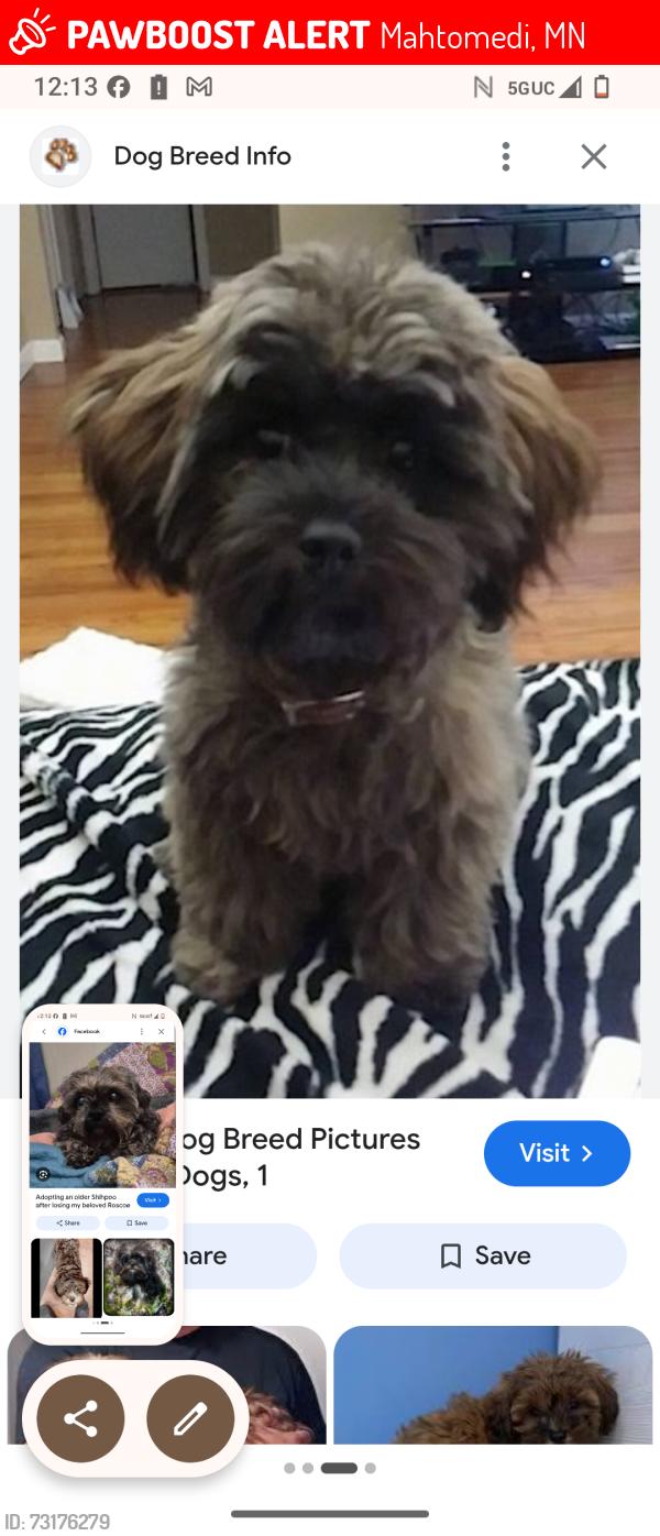 Lost Male Dog last seen Near Wildwood Rd, Mahtomedi, MN 55115