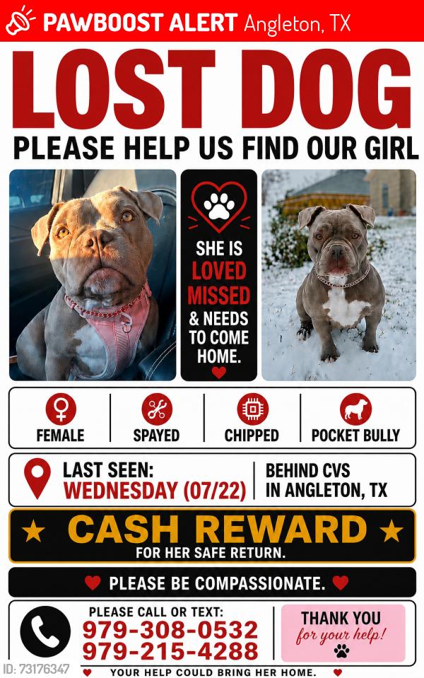 Lost Female Dog last seen Tj Wright St, Angleton, TX 77515