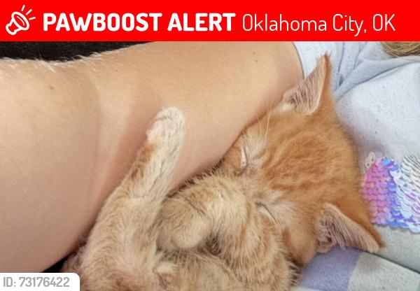 Lost Male Cat last seen Near Ashby terrace, Oklahoma City, OK 73149