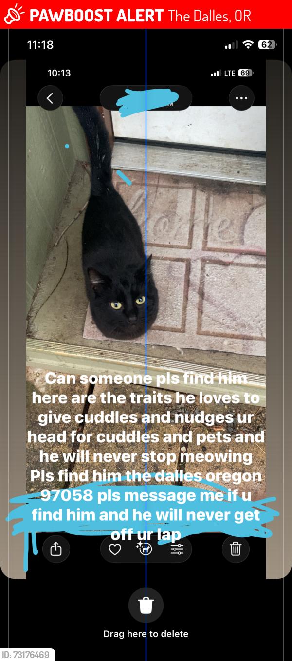 Lost Male Cat last seen Near momths ago, The Dalles, OR 97058