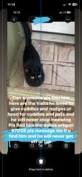 Lost Male Cat last seen Near momths ago, The Dalles, OR 97058