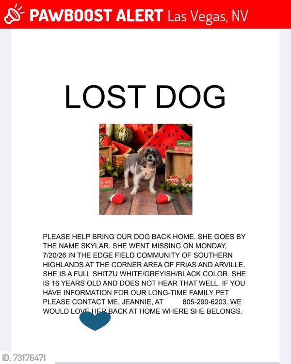 Lost Female Dog last seen Frias ave, Las Vegas, NV 89141