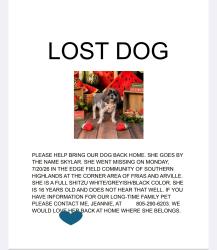 Lost Female Dog last seen Frias ave, Las Vegas, NV 89141