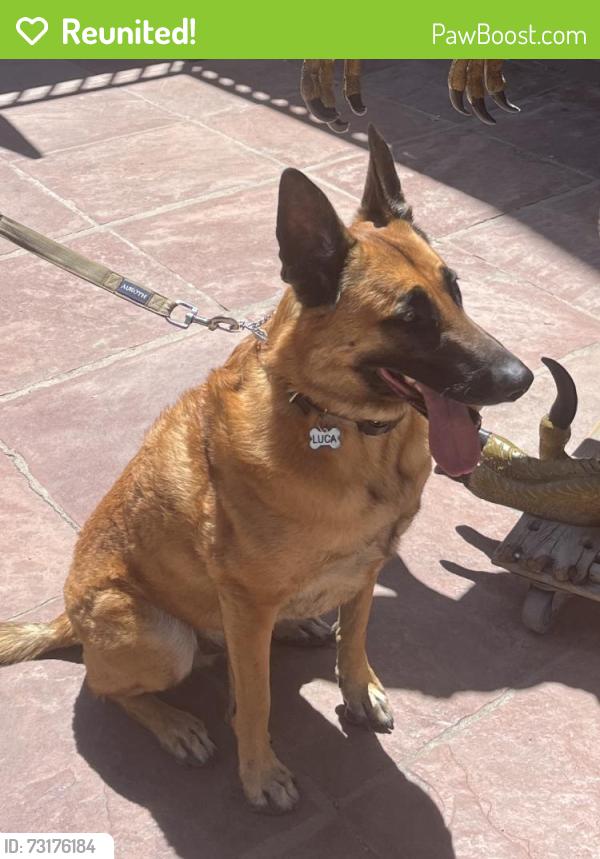 Reunited Male Dog last seen Cherry creek reservoir, Cherry Creek, CO 80111