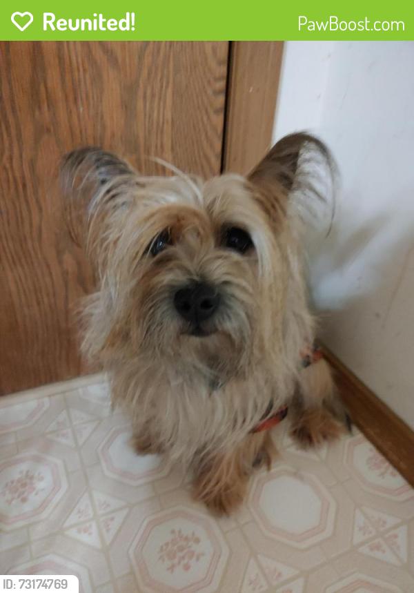 Reunited Male Dog last seen Near Frost rd Windsor, ny 11358, Windsor, NY 13865