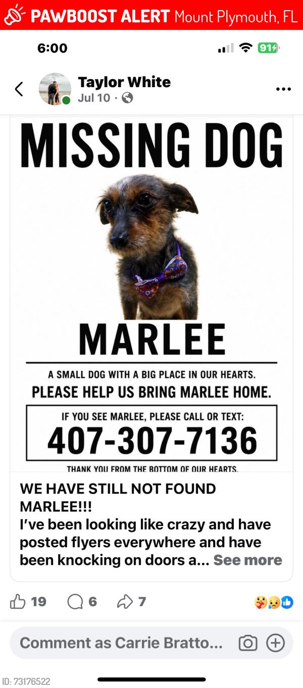 Lost Female Dog last seen Exmoor, Mount Plymouth, FL 32776