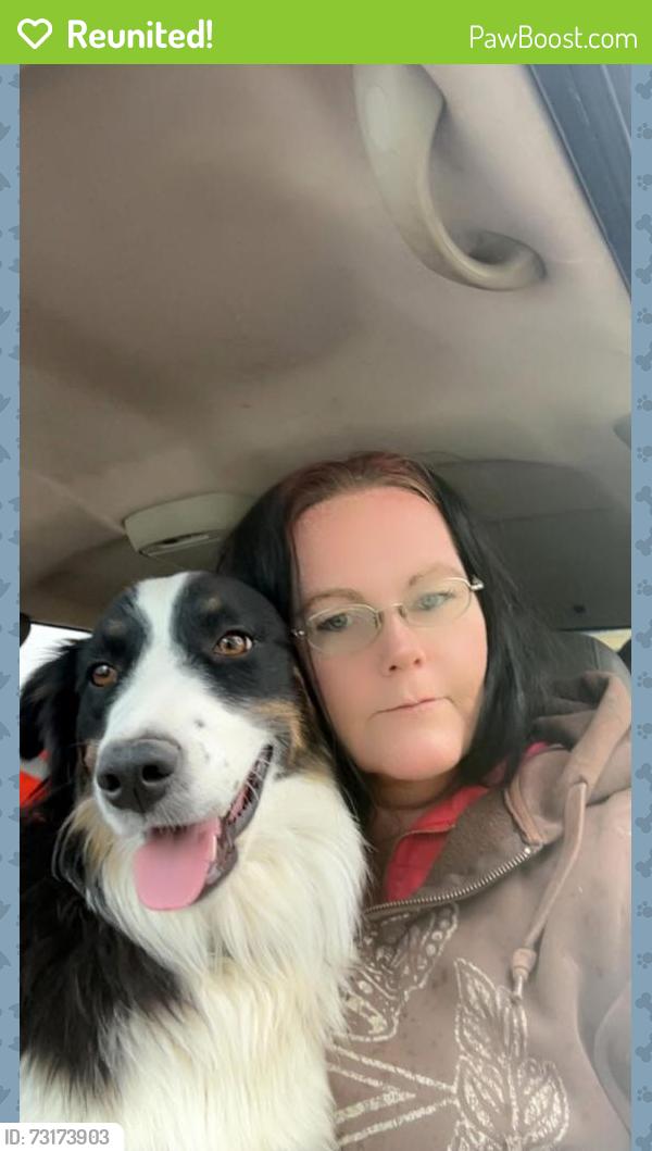 Reunited Male Dog last seen Meridian road, Meridian, ID 83642
