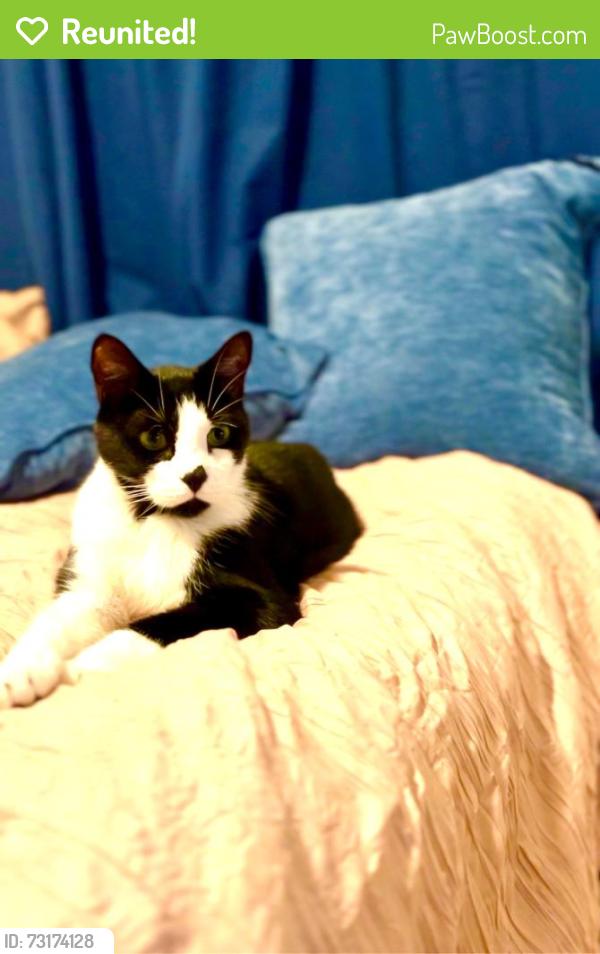 Reunited Male Cat last seen Old town road SIR station, Staten Island, NY 10304