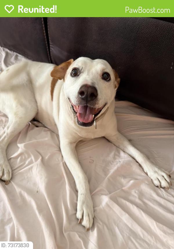 Reunited Female Dog last seen Gird and 76hwy, Fallbrook, CA 92028