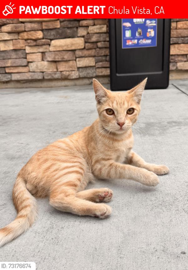 Lost Male Cat last seen 4th av, Chula Vista, CA 91911