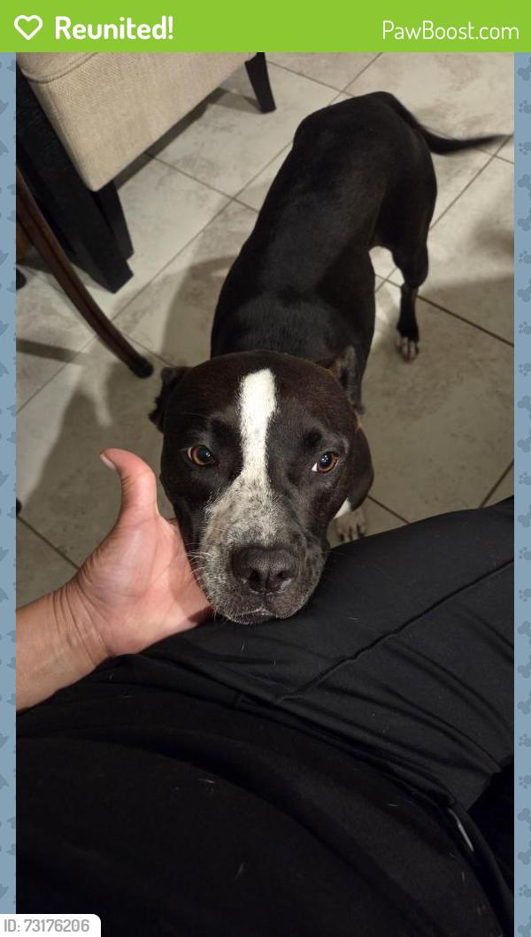 Reunited Female Dog last seen Harvest green, Richmond, TX 77406
