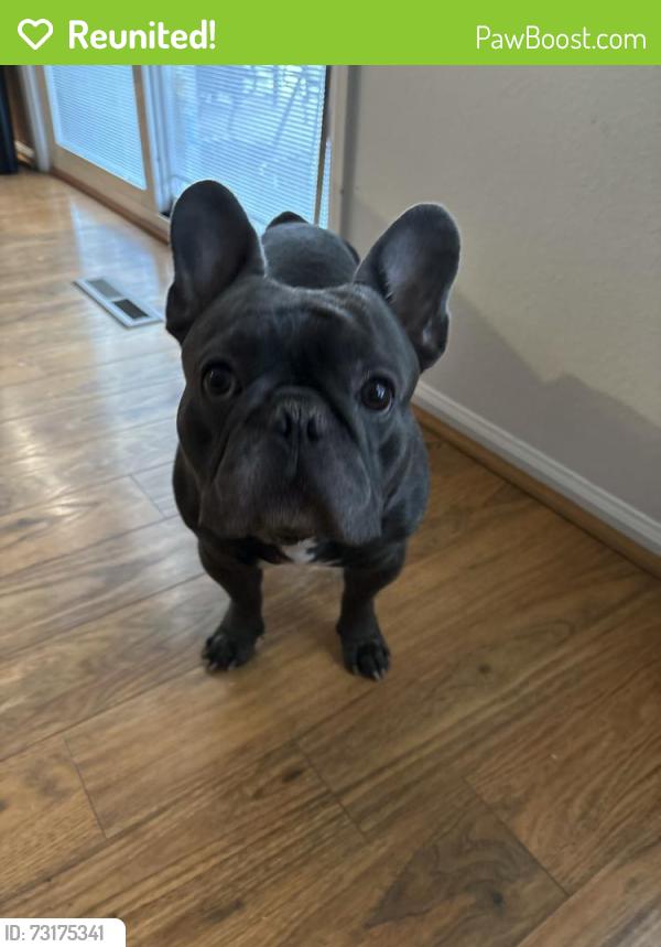 Reunited Male Dog last seen 74th and Canosa, Westminster, CO 80030