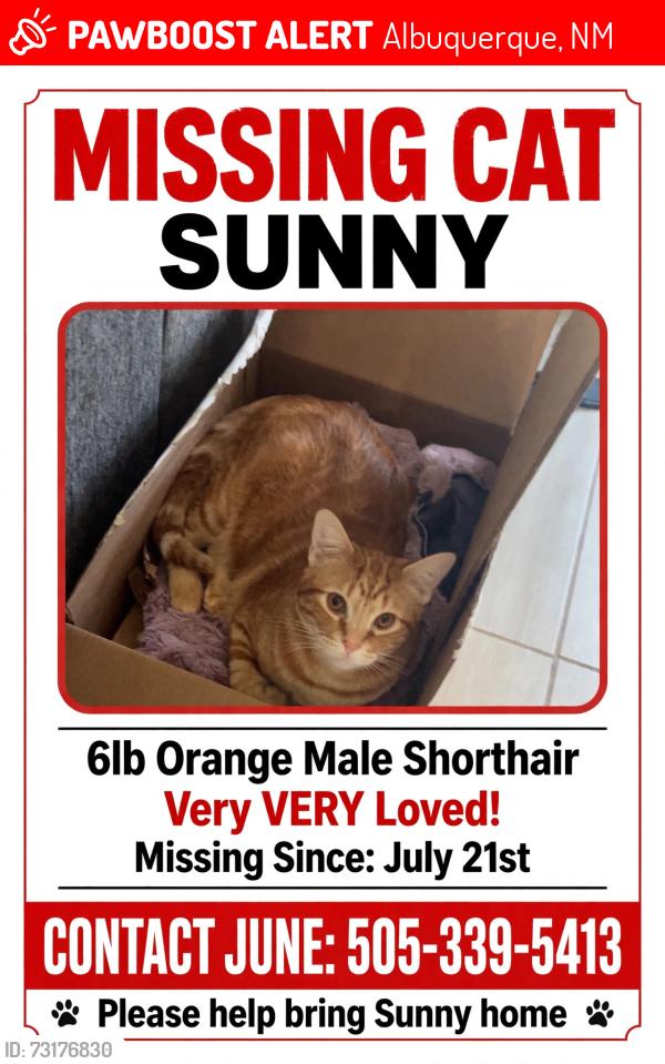 Lost Male Cat last seen Coors & La Orilla, Albuquerque, NM 87120