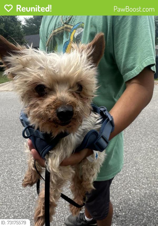 Reunited Male Dog last seen near price ln and s 13st, Rogers, AR 72758