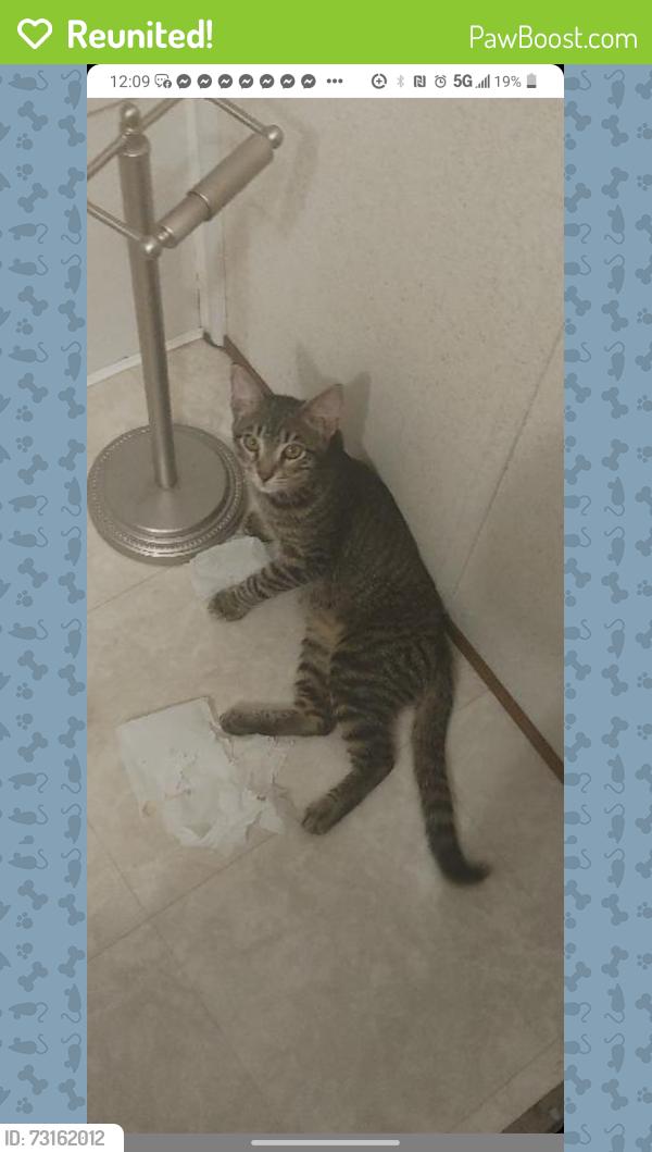 Reunited Male Cat last seen Red Bank Rd, Goose Creek, SC 29445