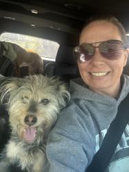 Lost Male Dog last seen Mullins Station, Memphis, TN 38134