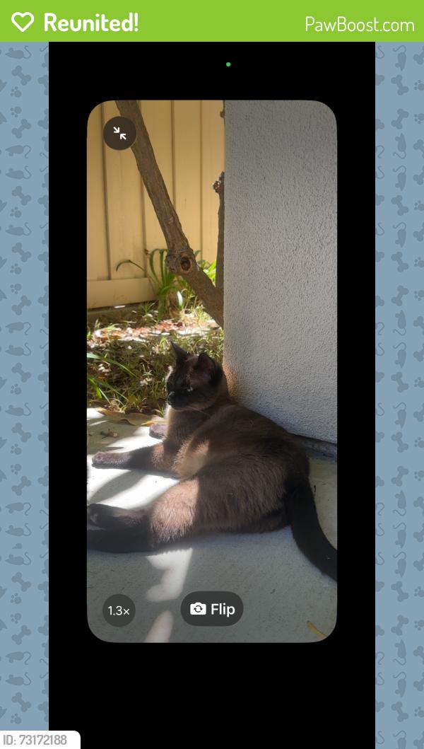 Reunited Male Cat last seen Carmel Canyon Rd, Del Mar Heights Rd, Caminito Campaneo, San Diego, CA 92130