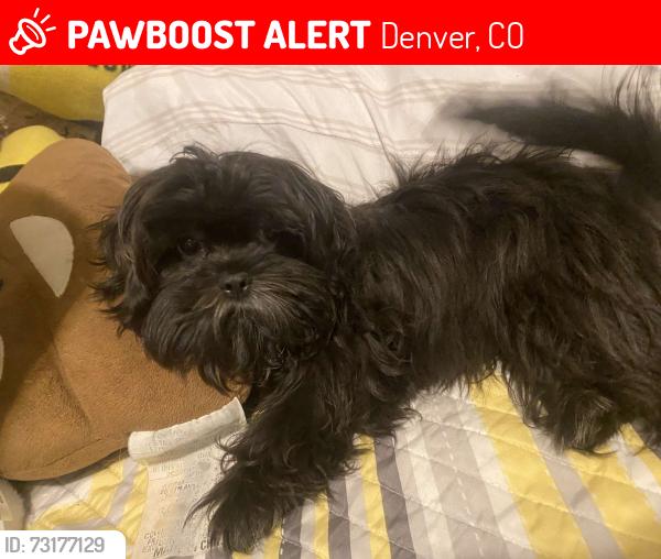 Lost Female Dog last seen Across Cuatro Vientos Park, Denver, CO 80219