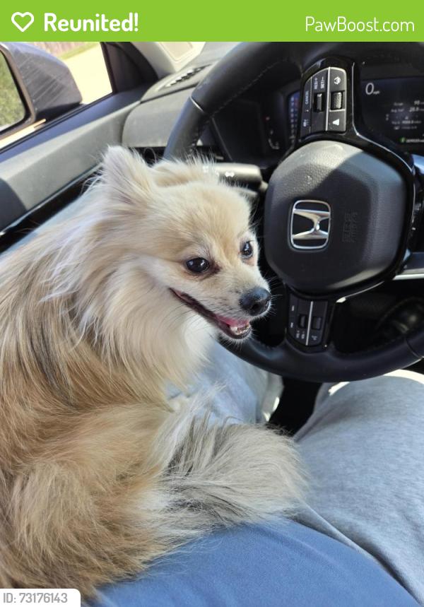 Reunited Female Dog last seen Fossil Creek Blvd & Buffalo Way, Haltom City, TX 76137